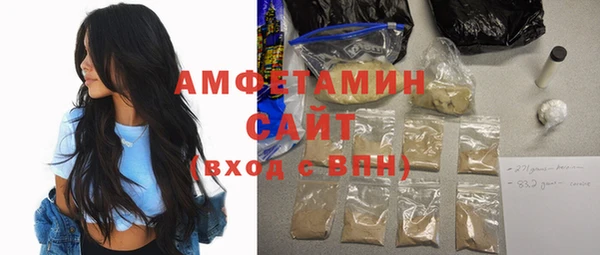 шишки Арсеньев