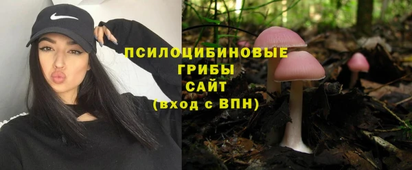 гидра Аркадак