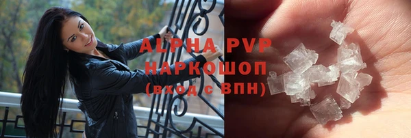шишки Арсеньев