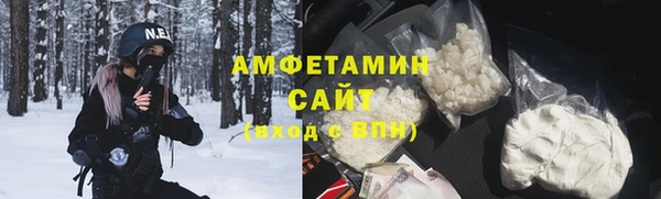 шишки Арсеньев