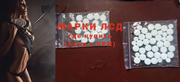 гидра Аркадак