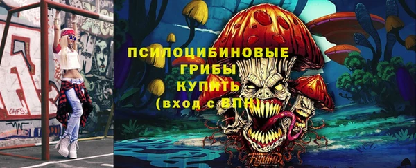 крисы Армянск