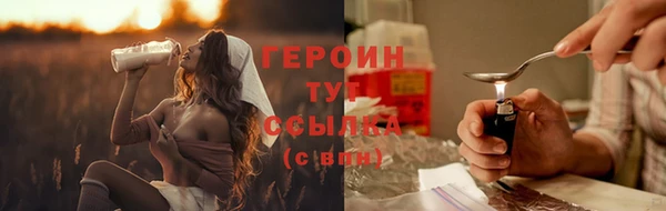 шишки Арсеньев