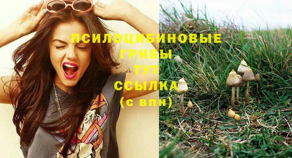крисы Армянск