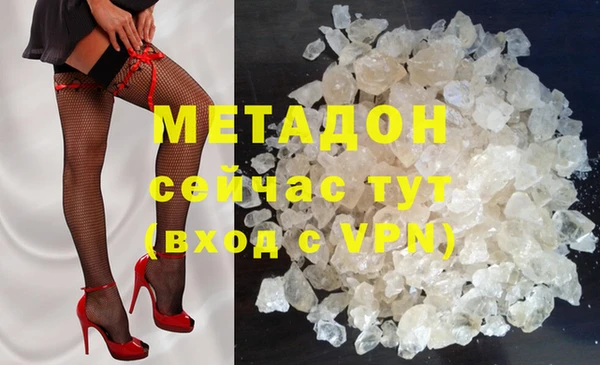 шишки Арсеньев
