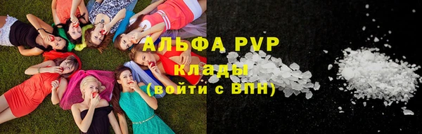шишки Арсеньев
