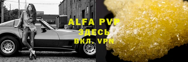 гидра Аркадак