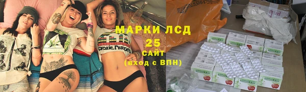 гидра Аркадак