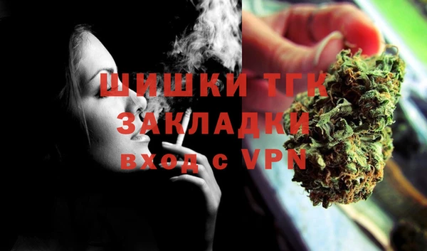 шишки Арсеньев